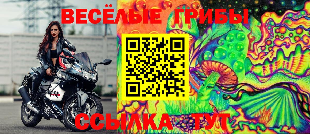 Малоярославец  Псилоцибиновые грибы Magic Shrooms  Вход с VPN 