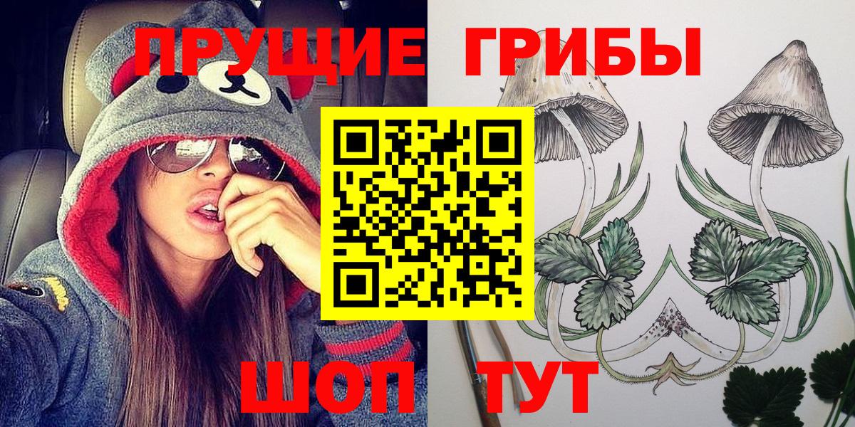 Псилоцибиновые грибы Psilocybe Малоярославец